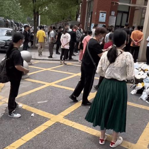 武汉被撞学生爆料事件最新,真相揭开，社会关注与反思并行